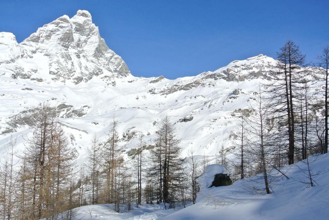Complesso I Dadi - Residence Cielo Alto - Alberto 21 Breuil-Cervinia Dış mekan fotoğraf