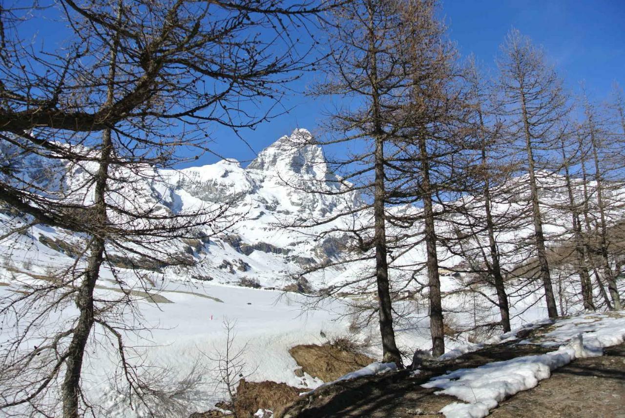 Complesso I Dadi - Residence Cielo Alto - Alberto 21 Breuil-Cervinia Dış mekan fotoğraf